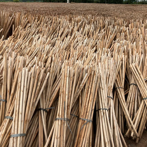 Manche de balai en bois d'eucalyptus naturel Asiawood Vietnam 2-en-1 léger et portable avec balai en PVC à poils festonnés pour la maison - Product Image 2