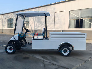 Voiturette de golf 2 places à coloris personnalisé, nouveau design, très demandée, pour transport extérieur avec porte - Product Image 3