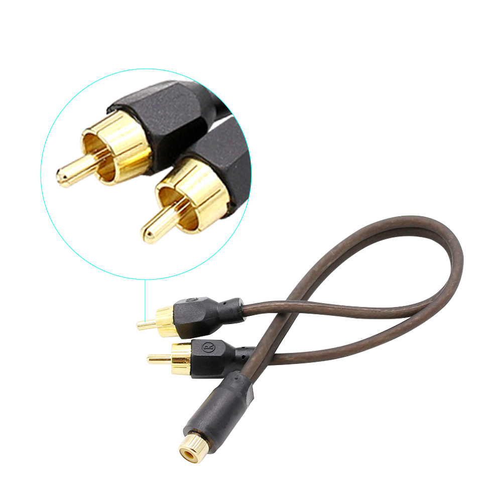 Brown One female and two males