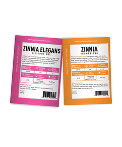 Paquete de Variedades de Zinnia, 5 Macetas de Vidrio Ecológicas para Uso en Interiores/Exteriores, Incluye Thumbelina, Lilliput y Purple Prince - Product Image 3