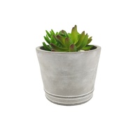 Pots de fleurs d'intérieur modernes gris clair pour bonsaïs Pot de plantes de jardin rond Matériau en ciment