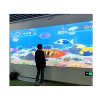 Juegos de proyección AR en pared para parques de atracciones infantiles, mapeo de proyección interactivo, sensor láser, pantalla táctil