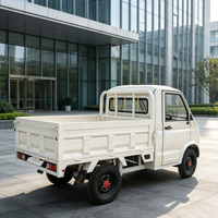 Camion électrique haute puissance, véhicule à quatre roues à faible vitesse, voiture électrique, mini pick-up électrique intelligent à 2 portes, nouvelle énergie
