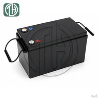 Paket Baterai Lithium-ion 24V 100Ah 105Ah LiFePO4 Besi Fosfat Penyimpanan Energi Panel Surya Baterai Isi Ulang 24V LFP