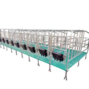 Professional Service Nice Quality Pig Farm Equipment Positioning Pig Limit Column Pigs Gestation Crates