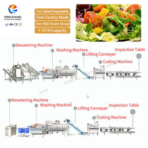 สายการผลิตผักสดหั่นสำเร็จรูปอัตโนมัติครบวงจร - Product Image 5