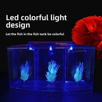 Mini aquarium pour poissons Betta avec lumière colorée pour bureau