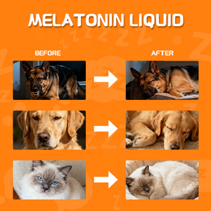 Melatonin tetes untuk hewan peliharaan suplemen kesehatan tidur 60ml mendukung cairan tenang untuk anjing kucing Melatonin cair OEM ODM - Product Image 5
