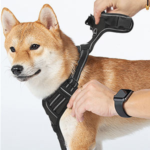 Harnais Chien-Red antitracción para la cara, accesorio de protección para la boca, para hacer deporte - Product Image 3