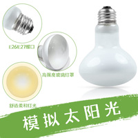 Ampoule chauffante personnalisée pour reptiles, lampe chauffante de jour pour tortue, lézard, dragon barbu, terrarium