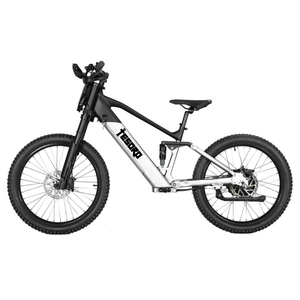 Bicicleta Eléctrica Personalizada de Carreras de 24 Pulgadas, 48V, 15Ah, 1000W, Motor Potente, 60Km/h, para Niños, Adolescentes y Jóvenes - Product Image 3