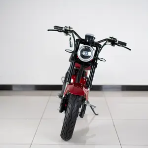 Skuter Listrik Mi Pro 2, Kit Konversi Jarak Jauh 3000W dengan SIM Gudang Sepeda Motor Listrik Dewasa