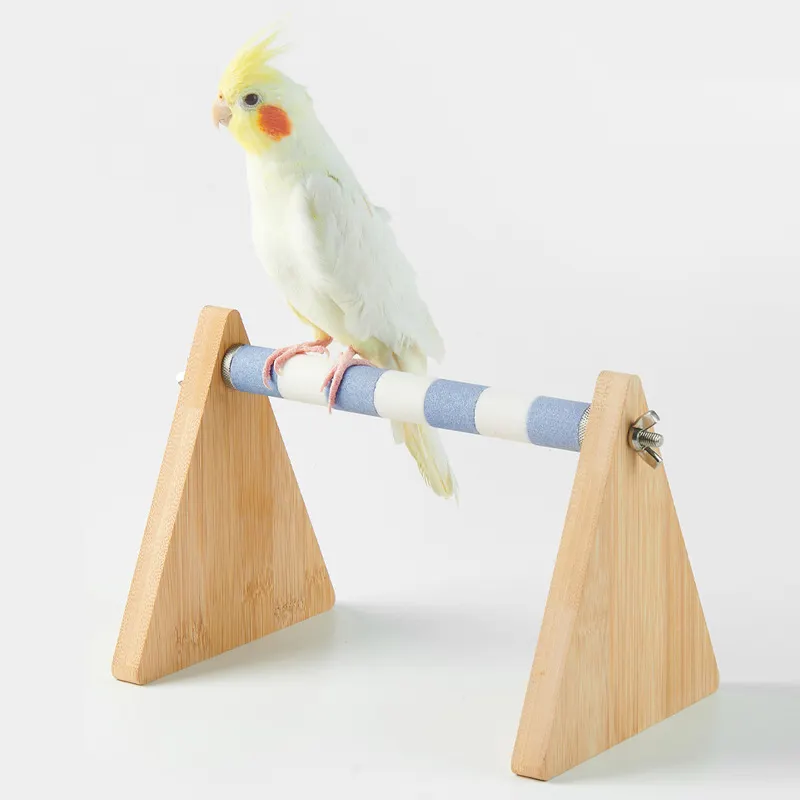 Nouveau design support de perroquet de bureau pin + pierre oiseaux de formation à caca à intervalles réguliers support de perroquet jouets pour oiseaux Cage pour animaux de compagnie