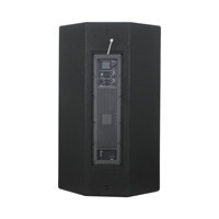 Haut-parleur bi-amplifié DSP de classe D 15'' MUSES-915A 132 dB avec grille en acier et boîtier en bois, système audio PA actif professionnel pour scène