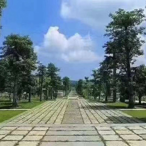 Bán hot Nhật Bản lâu đài cũ Granite tự nhiên tay đục cũ đá lát tấm để bán - Product Image 1