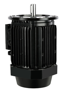 มอเตอร์ไฟฟ้าเหนี่ยวนำสามเฟส AC ความเร็วรอบต่ำ MS90S-4 1.1 กิโลวัตต์ 1.5 แรงม้า 1460 รอบต่อนาที แบบอะซิงโครนัส - Product Image 6
