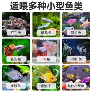NaiChong <b>Fish</b> <b>Food</b> 50g Floating <b>Pellets</b> For Small Ornamental <b>Fish</b> - Product Image 4