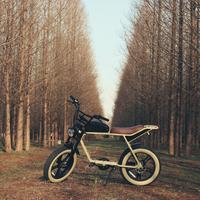 Vélo électrique à gros pneus, moteur arrière 48V, batterie lithium interchangeable 16Ah, vélo tout-terrain électrique