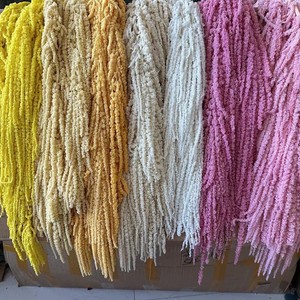 All'ingrosso Amaranthus Caudatus coda per il taglio dei semi <span class=keywords><strong>fiori</strong></span> ornamentali casa o diserbo decorazioni per feste. - Product Image 5