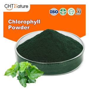 Poudre de chlorophylle naturelle soluble dans l'eau, marque privée OEM CHTNature - Product Image 1