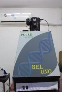 Equipo de Prueba Gel Uno Genre, Transiluminador UV PULSE LIFE SCIENCE, Cámara de 24MP, Zoom 3x, Enfoque Automático, Protección IP65, USB 2.0 - Product Image 2