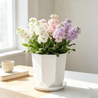 Pot de fleurs carré en résine avec trou de drainage, design contemporain durable pour usage domestique, grande capacité, pot pour plantes vertes