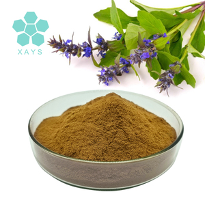 Заводская поставка, порошок Ajuga Turkestanica, порошок экстракта Ajuga Turkestanica - Product Image 2