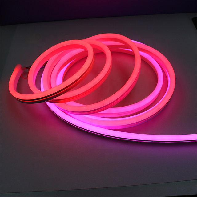 Guangzhou LC LED RGB Neon Strip Light DC Powered IP65 Waterproof for Mall & Companies Decoration