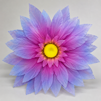 Paarse blauwe Dahlia zonnebloemkop gigantische papieren kunstbloem bruiloft evenement decoratie commerciële bloemendisplay levering