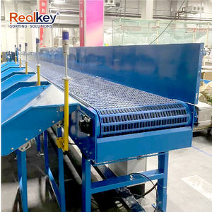 मॉड्यूलर बेल्ट सॉर्टिंग मशीन: गतिशील पार्सल ट्रैकिंग के साथ वास्तविक-एमबीएस - Product Image 5