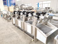 Automatische tomatenpuree verwerkingslijn voor ketchupproductie in een voedingsfabriek