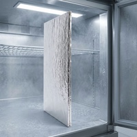 Panneau d'isolation sous vide pour entrepôt frigorifique avec surface de film réfléchissant pour équipements de réfrigération et chambres froides