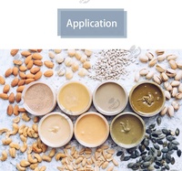 Ligne de production entièrement automatique à haute efficacité en acier inoxydable de qualité alimentaire pour la transformation des noix, du beurre, des arachides, des amandes et des noisettes