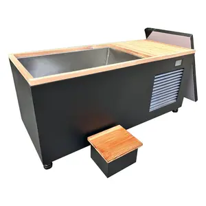2024 NEW MODEL ICE PLUNGE WITH CANADIAN RED CEDAR WOOD AND SMART CHILLER FOR SALE