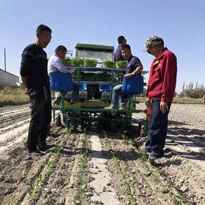 Transplanteur de semis de légumes à moteur autopropulsé efficace, haute productivité pour les tomates, les poivrons, les choux, les oignons - Product Image 5