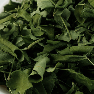 Khô Ấn Độ màu xanh lá cây Moringa lá trà toàn bộ horseradish cây lá thảo mộc thuốc uống lỏng cho bột chiết xuất viên nang - Product Image 5