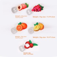 Koelkastmagneet Creatief Fruit Ins Stijl Gepersonaliseerde 3D Magnetische Drank Bier Wijnflesopener Cadeau Model YW-012