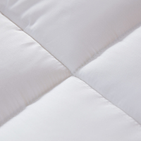 Couette d'hiver en soie naturelle lavable, couvre-lit, 100% original, en soie Pure, faite à la main, chine