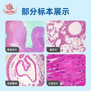 Biological specimen slides, 25 new animal combination kits, clear tissue <b>microscope</b> accessories, biological slides, specimens - Product Image 4