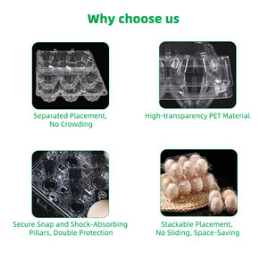 Mẫu miễn phí số lượng lớn Bán buôn giá rẻ trong suốt dùng một lần nhựa trứng thùng carton hộp khay cho 4 6 12 15 30 trứng - Product Image 6