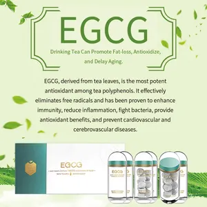 Green Tea Extract High-Potency EGCG Pressed Tablet Candy Powerful Antioxidant Support for Enhanced Health and Vitality