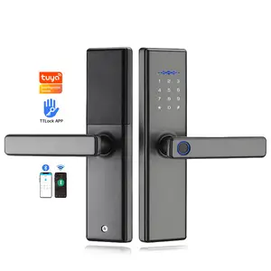 Safety APP double electromagnetic lock smart lock door waterproof outdoor biometric