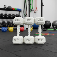 Haltères hexagonaux en caoutchouc FABA SPORT pour entraînement de force 2,5-5 kg - Usage commercial, ensemble d'entraînement complet pour le corps, unisexe
