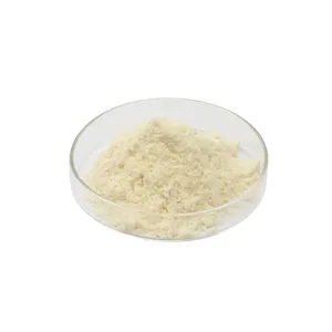 来自木霉的食品级优质木聚糖酶CAS: 9025-57-4