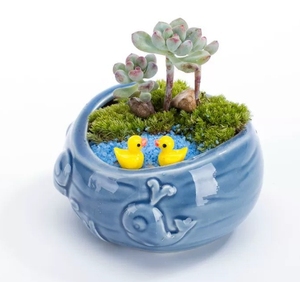 Maison balcon paysage créatif décoratif <span class=keywords><strong>Pot</strong></span> de fleur succulente planteur Pots mignon bleu <span class=keywords><strong>baleine</strong></span> <span class=keywords><strong>Pot</strong></span> de fleur en céramique - Product Image 6
