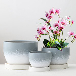 Pot <span class=keywords><strong>de</strong></span> fleurs en céramique pour tulipes, plumerias et succulentes - Grande taille <span class=keywords><strong>haut</strong></span> <span class=keywords><strong>de</strong></span> <span class=keywords><strong>gamme</strong></span> avec plateau - Offre spéciale liquidation - Product Image 2