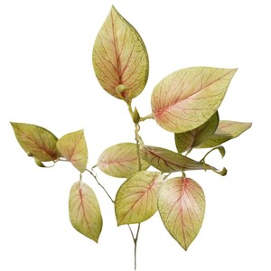 ใบต้นเผือกเทียมสัมผัสเหมือนจริง ก้านยาว ใบหูช้างเทียม สำหรับงานแต่งงาน จัดดอกไม้ตกแต่งบ้าน ต้นไม้ประดิษฐ์ - Product Image 6