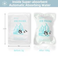 Pack de glace sèche en gel pour glacière alimentaire jetable en plastique personnalisable avec logo, feuille de congélation avec logo pour boîte à lunch