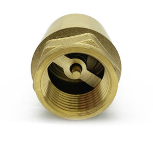 Vannes vertes, filtre en acier inoxydable Vertical, <span class=keywords><strong>clapet</strong></span> <span class=keywords><strong>anti</strong></span>-<span class=keywords><strong>retour</strong></span> en laiton pour <span class=keywords><strong>pompe</strong></span> <span class=keywords><strong>à</strong></span> <span class=keywords><strong>eau</strong></span> - Product Image 6