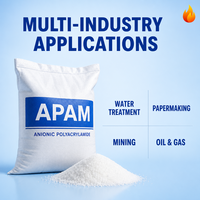 Zhendong Anionisches Polyacrylamid Wasserlösliches Pulver pH-Regulator Hochreine Industriequalität Shandong China 90% Wirksamkeit